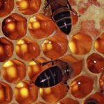 "Poetry Slam" by Ooh Beehive